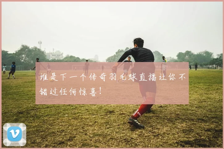 谁是下一个传奇羽毛球直播让你不错过任何惊喜!